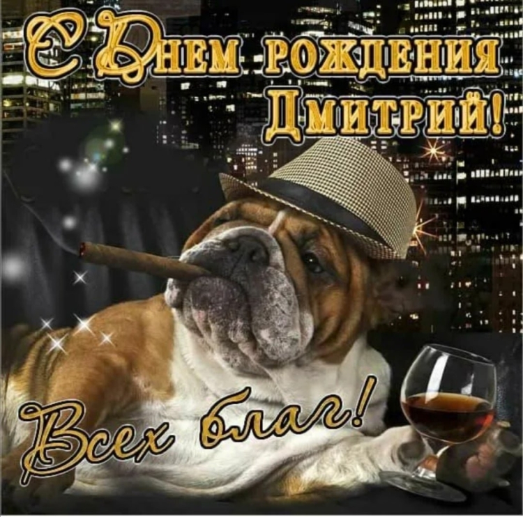 С днем рождения Дмитрий смешные поздравления