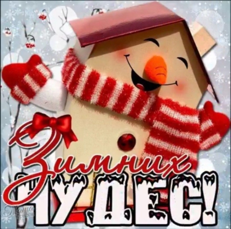 Открытки с зимним днем прикольные