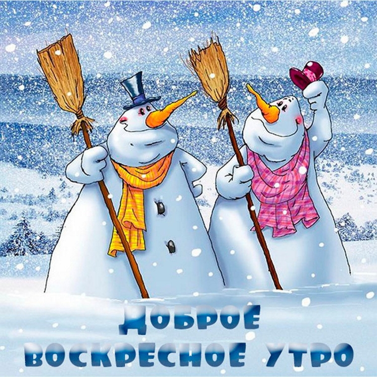 Веселая зима