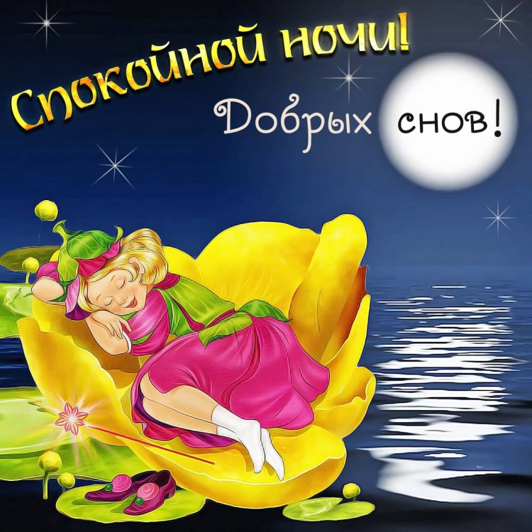 Смешные пожелания спокойной ночи