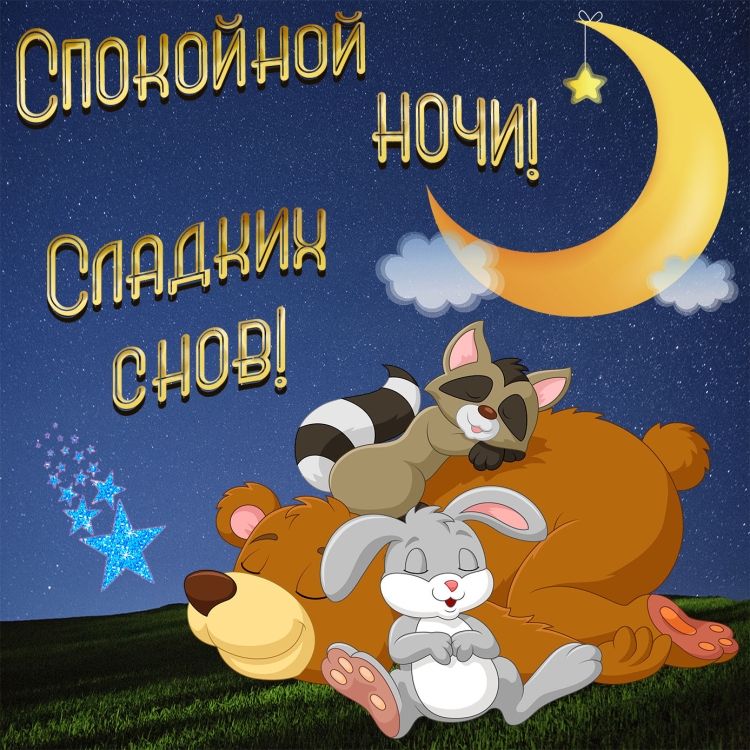 Смешные пожелания спокойной ночи