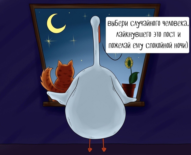 Пожелания спокойной ночи