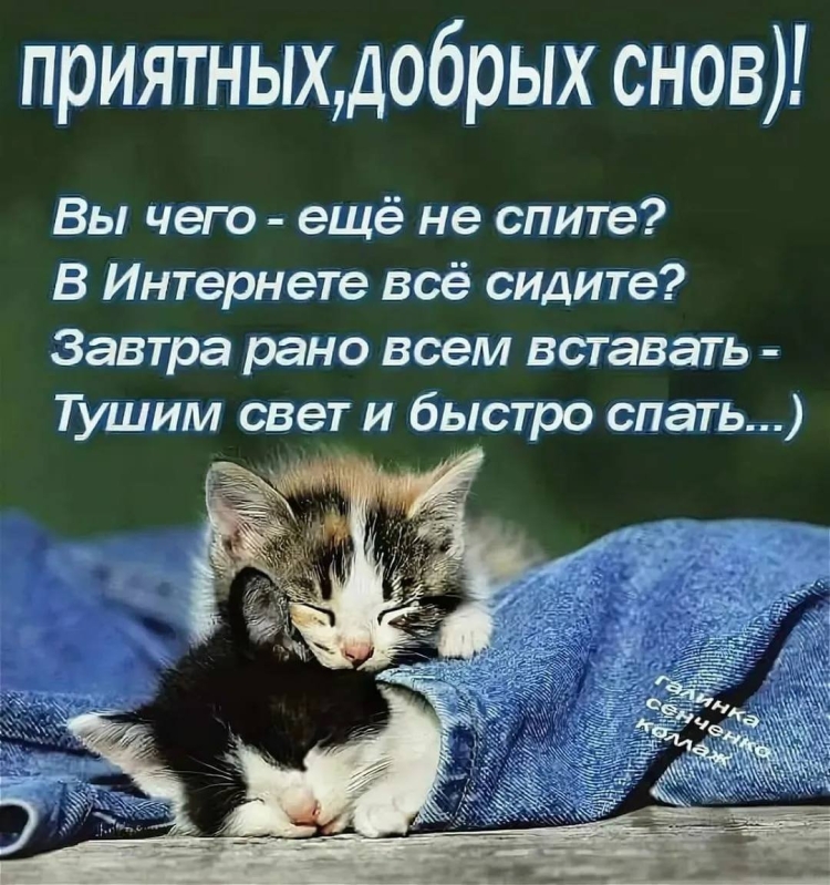 Доброй спокойной ночи
