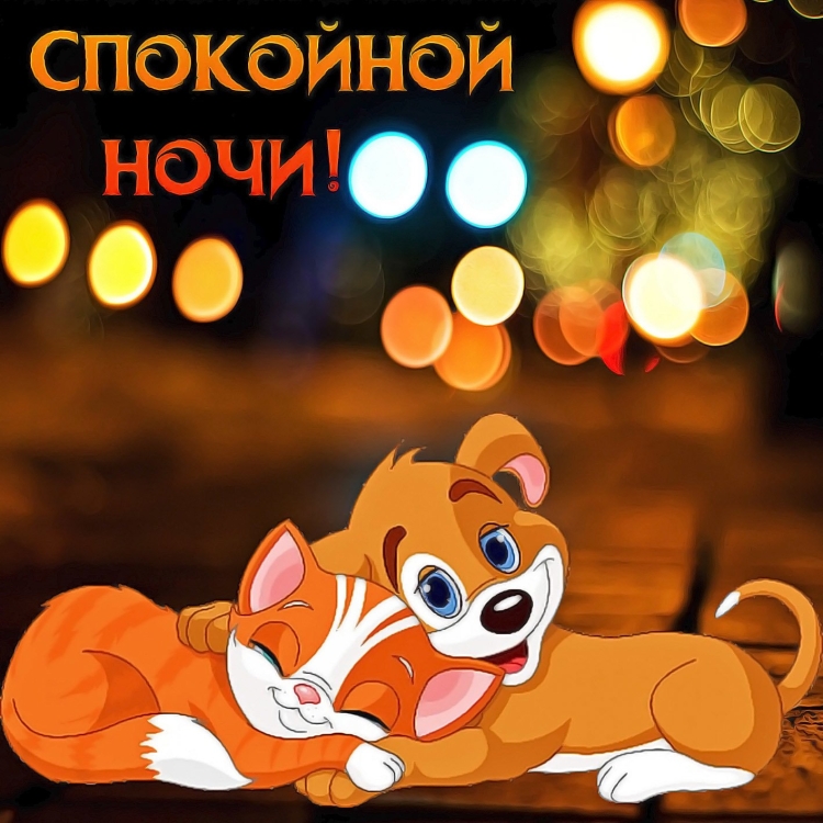 Прикольныетпожелания спокойной ночи