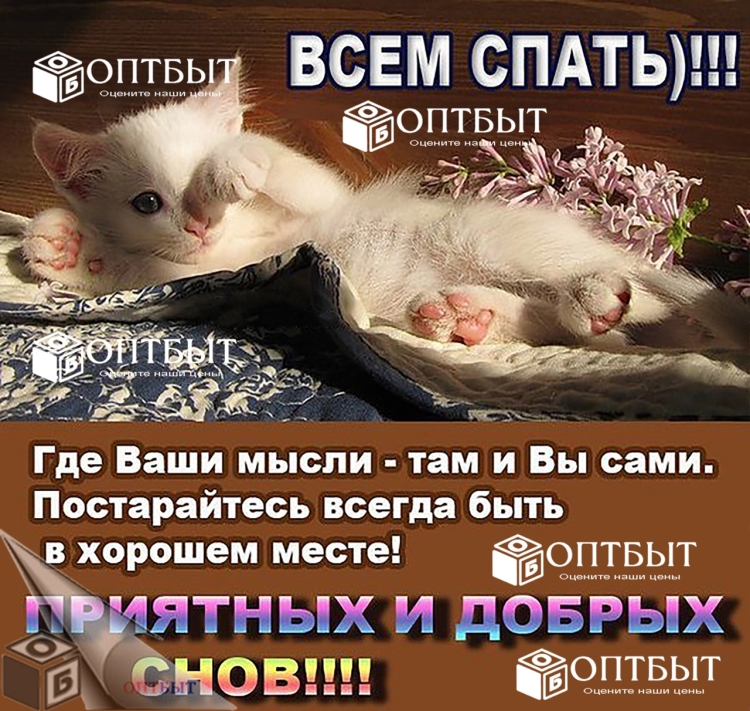 Открытки спокойной ночи прикольные