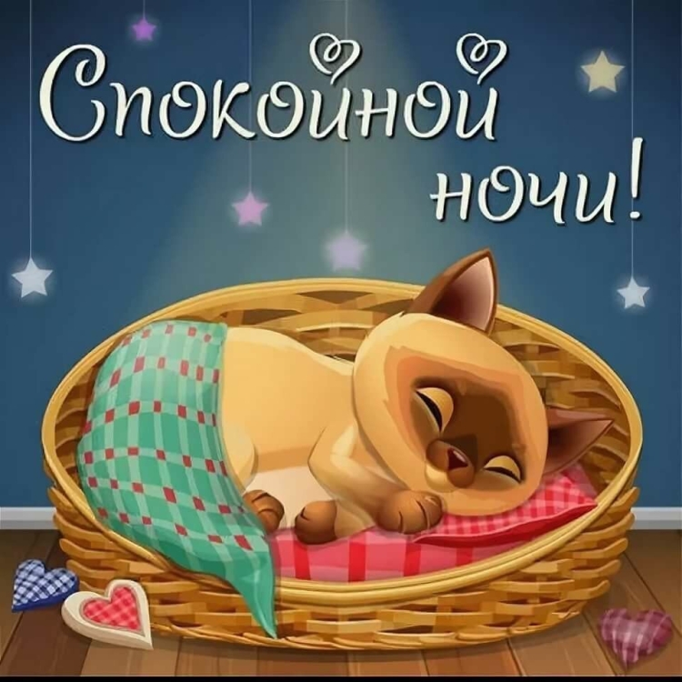 Спокойной ночи прикольные