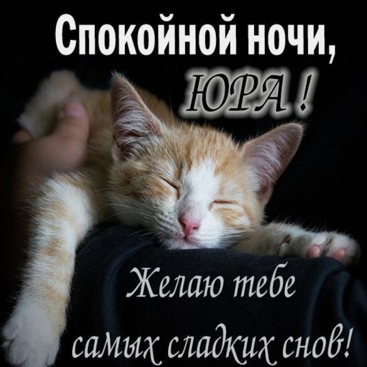Спокойной ночи прикол