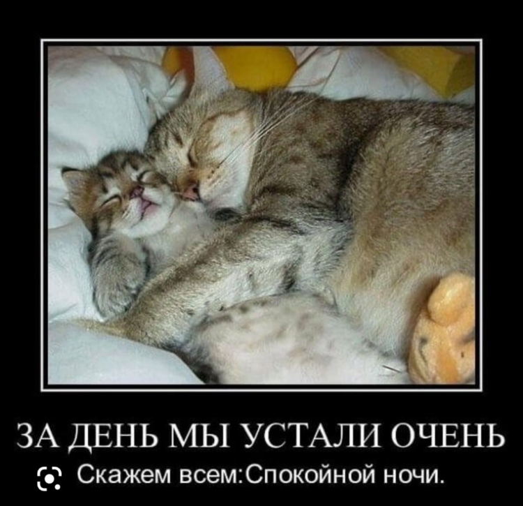 Пожелания спокойной ночи