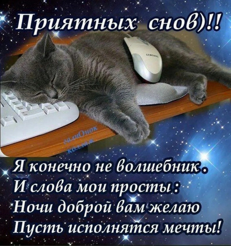 Сладких зимних снов