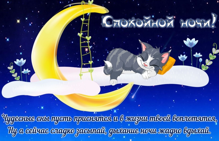 Спокойной ночи Светлана