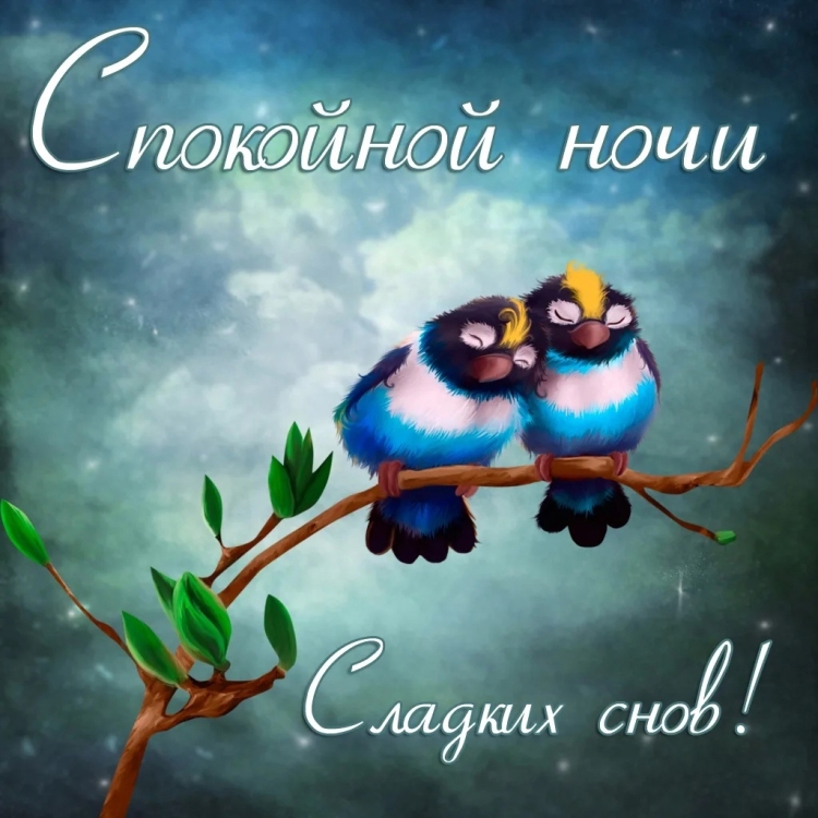 Гусь спокойной ночи