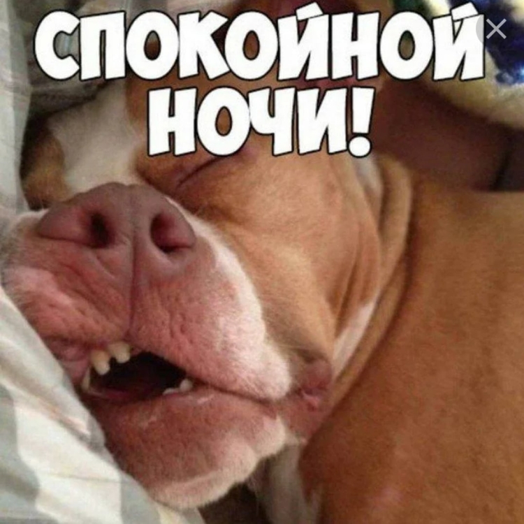 Спать пора спокойной ночи