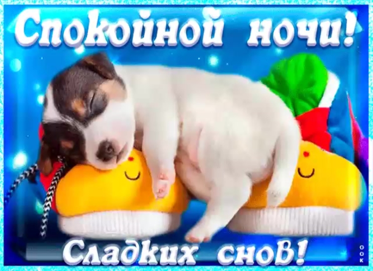 Пожелания на ночь прикольные