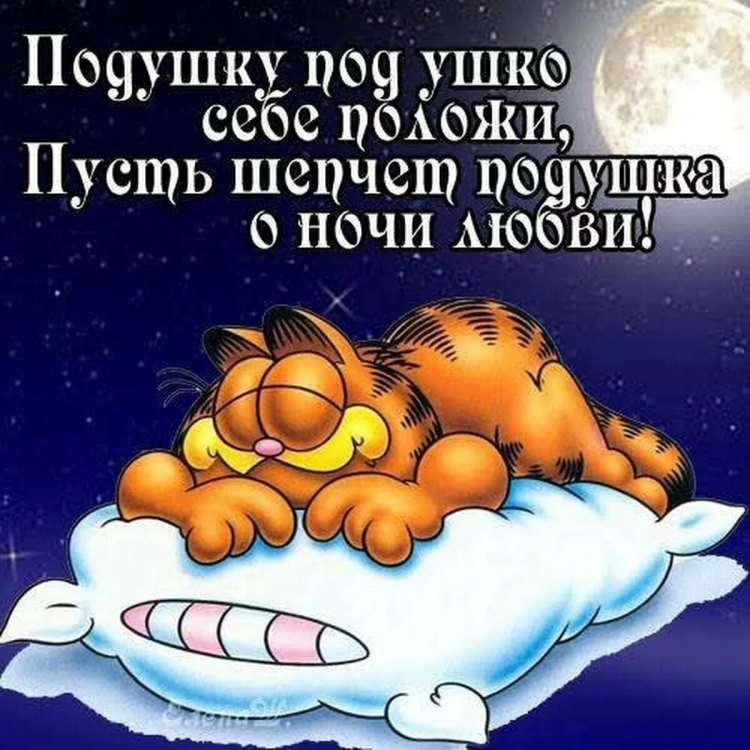 Спокойной ночи сладких снов прикольные