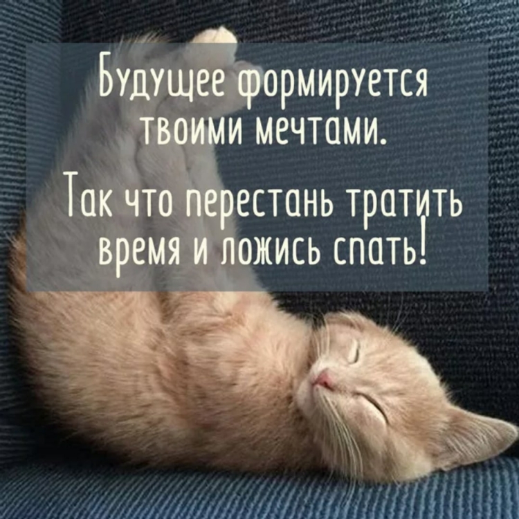 Спокойной ночи прикольные