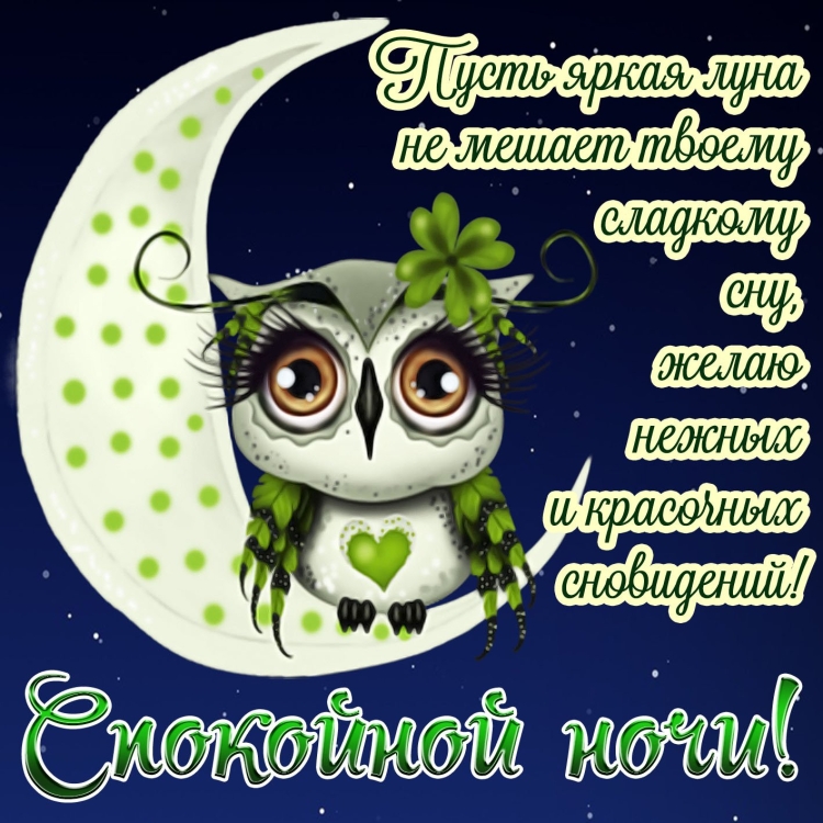 Спокойной ночи сладких снов