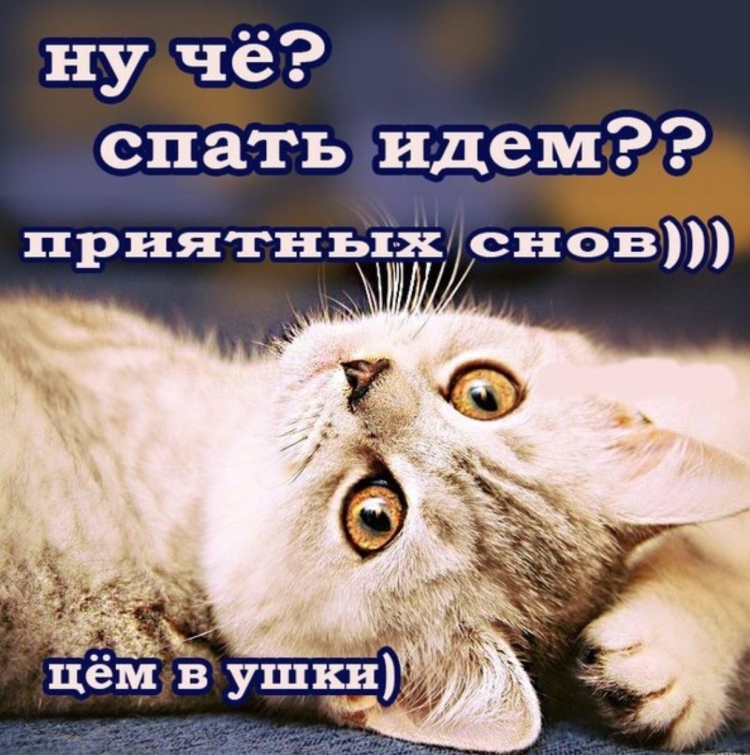 Пожелания спокойной ночи