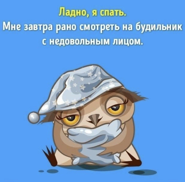Спокойной ночи картинки прикольные