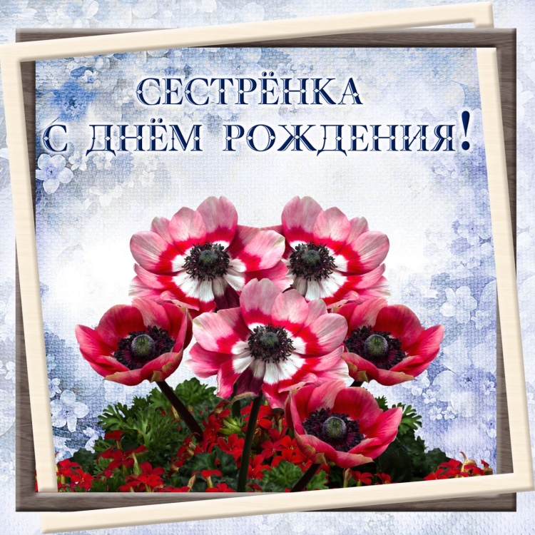 С днём рождения сес тре