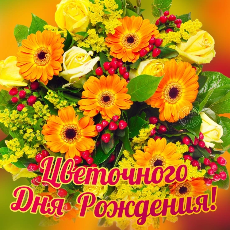 Поздравления с днём рождения с герберами