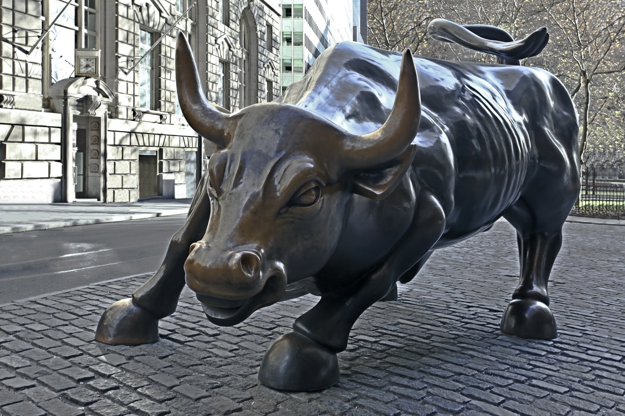 Зе бык киевская. Бык на Уолл-стрит в Нью-Йорке. Статуя быка в Нью-Йорке. Статуя быка на Уолл стрит. Бык с Уолл стрит.