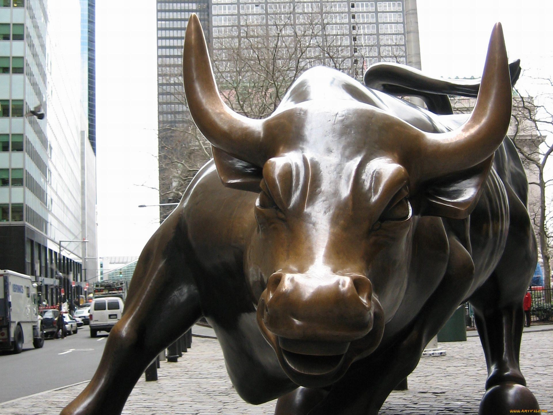 Зе бык отзывы. Бык на Уолл-стрит в Нью-Йорке. Статуя быка в Нью-Йорке. Бронзовый бык в Нью-Йорке.