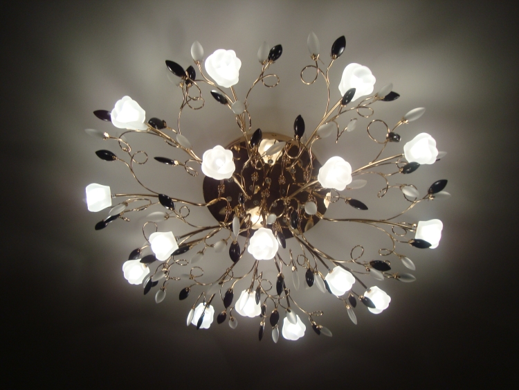 Eurosvet Bloomy 80115/23