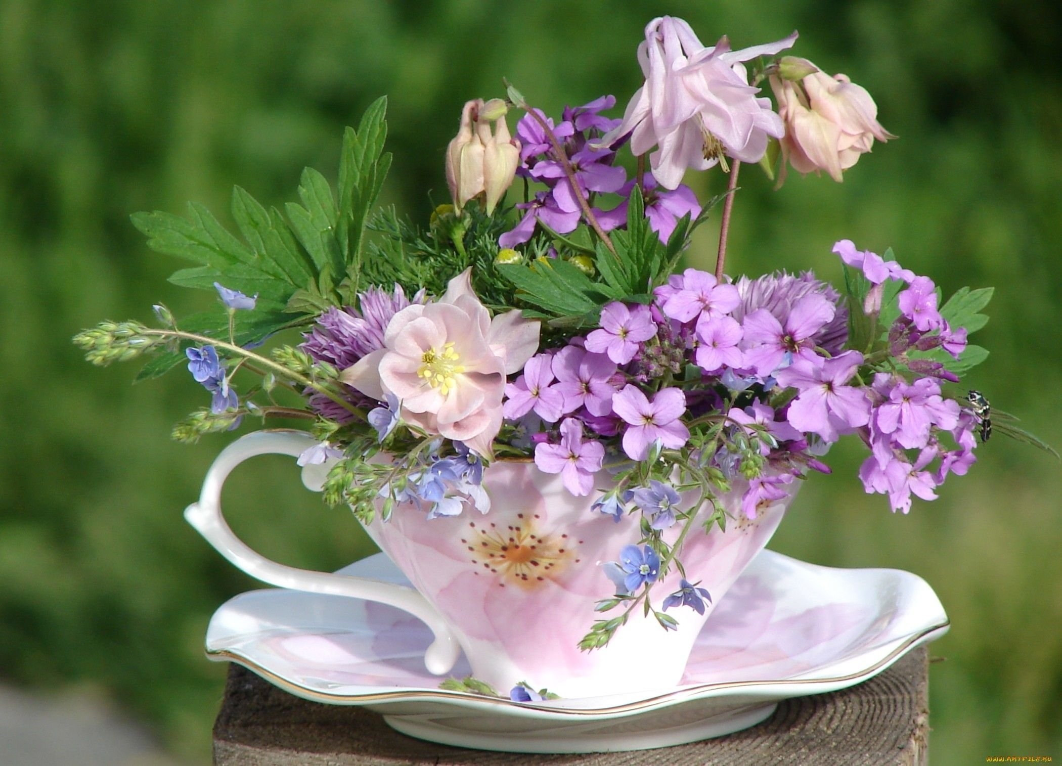 Чудесного нового дня картинки. Летние цветы. Нежные весенние цветы. Красивый весенний букет. Душевные цветы.
