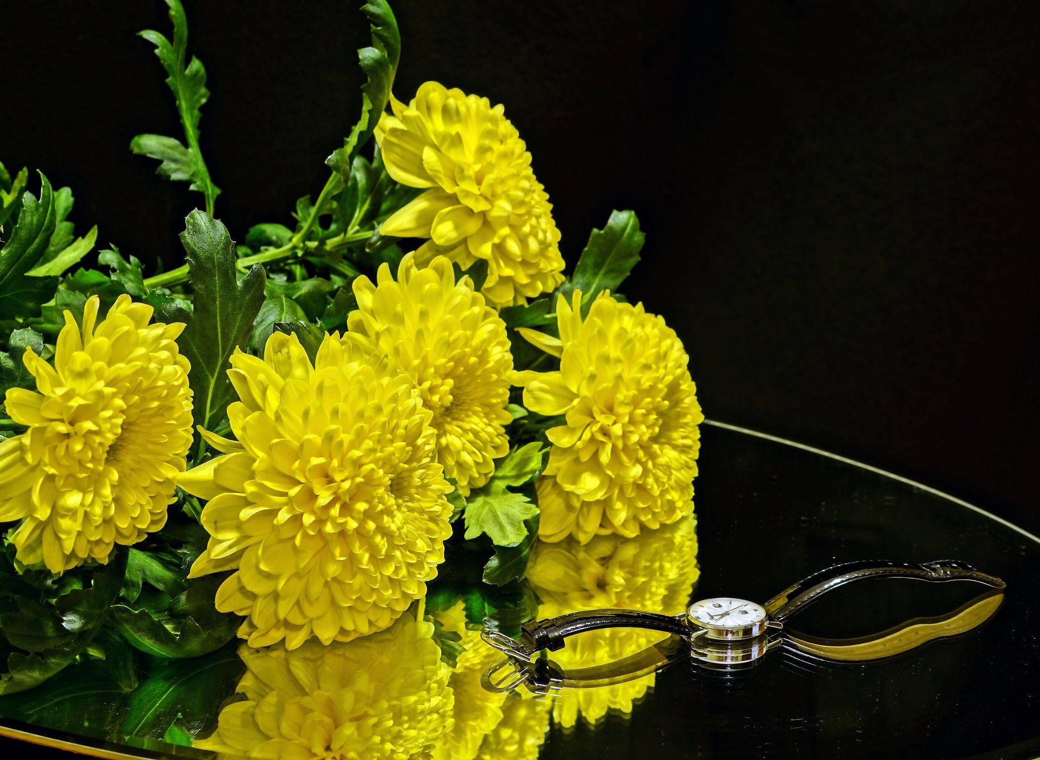 Открытки день хризантемы. Жёлтый цветок. Жёлтые хризантемы. Желтые хризантемы открытка. Открытки с хризантемами.