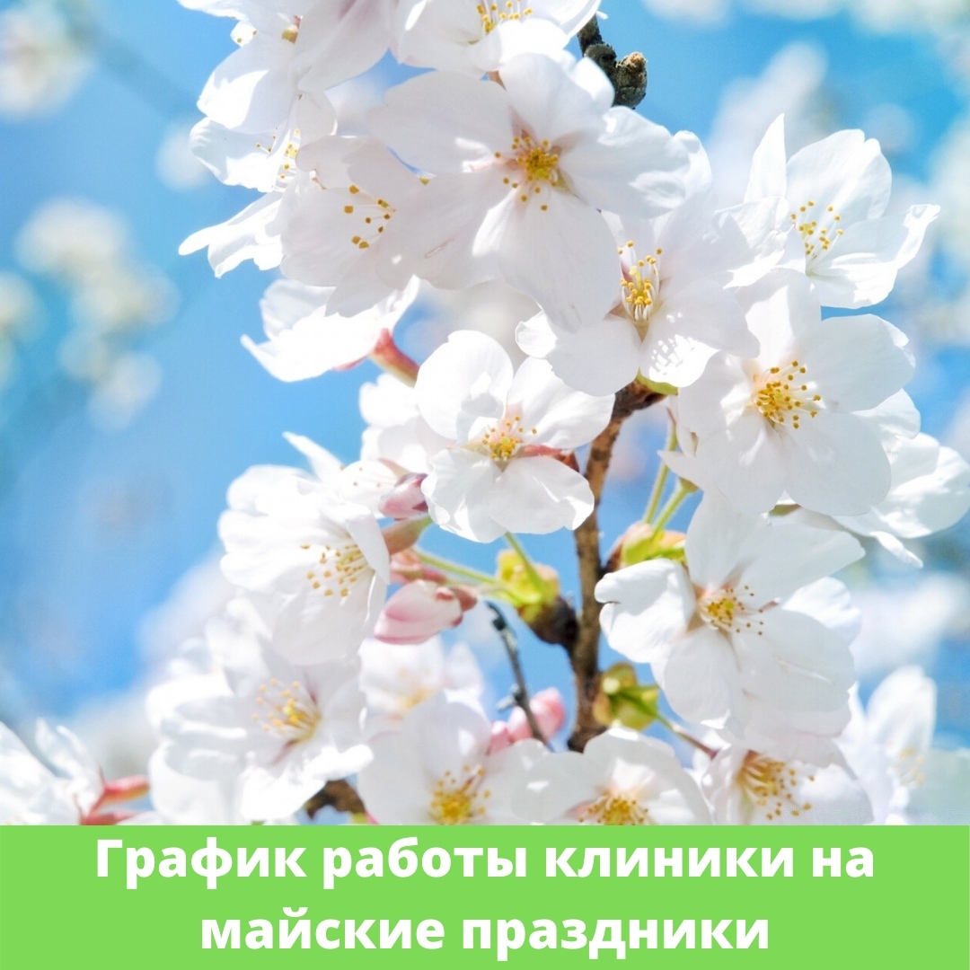 Христианские поздравления с днем рождения крестнице 💐 – бесплатные пожелания на Pozdravim