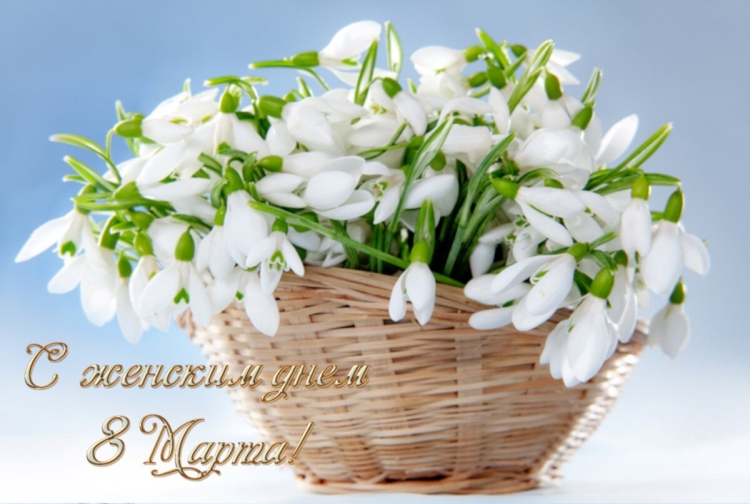 Подснежники в корзине