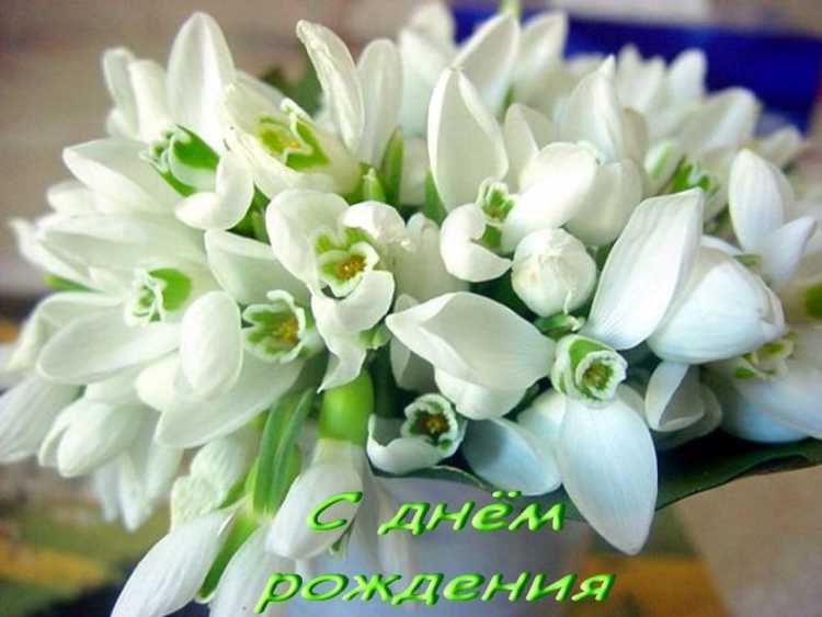 С днём рождения весенние цветы