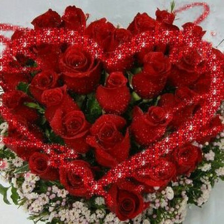 Самые красивые розы для любимой