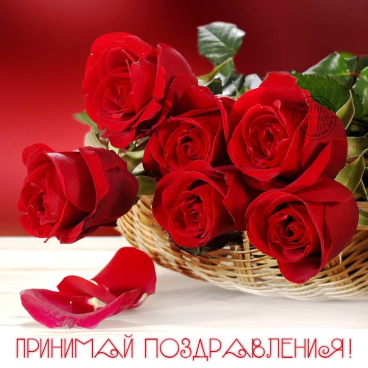Шикарные розы для подруги