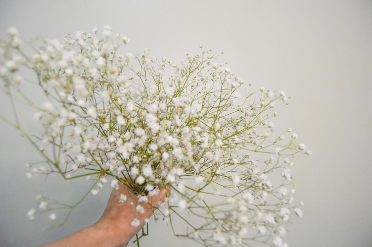 Маленькие белые цветочки в букетах