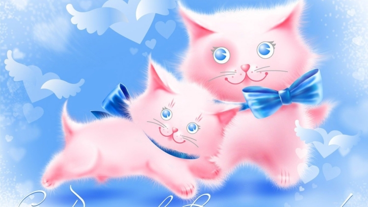 Открытка «котики»