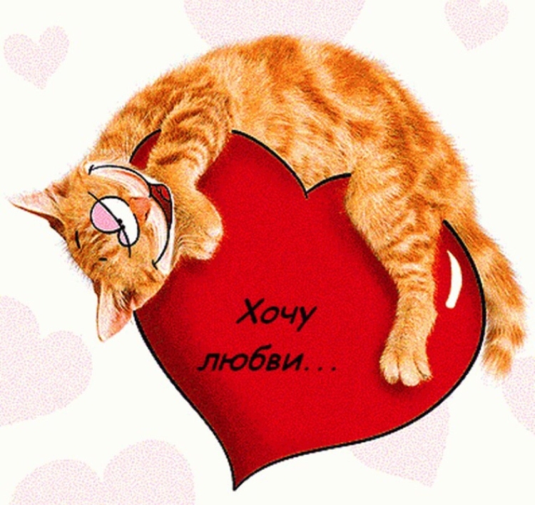 Валентинки с котиками