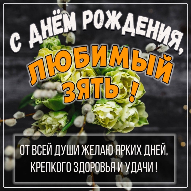 Открытки с днём рождения зятю от тёщи