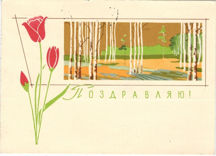 Береза открытка Советская СССР