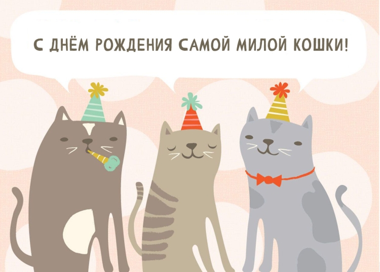 Кот поздравляет с днем рождения