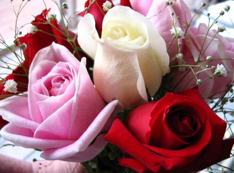 Красивые открытки с днем рождения цветы розы
