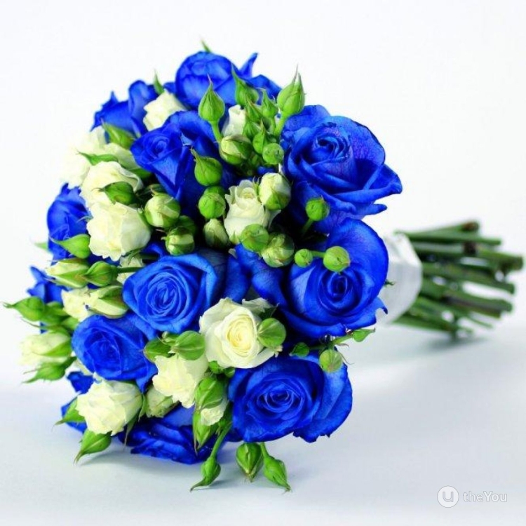Букет из белых и синих роз