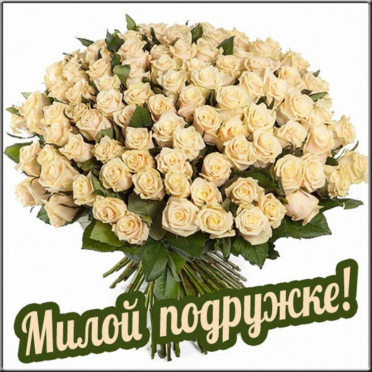 Цветы для подруги