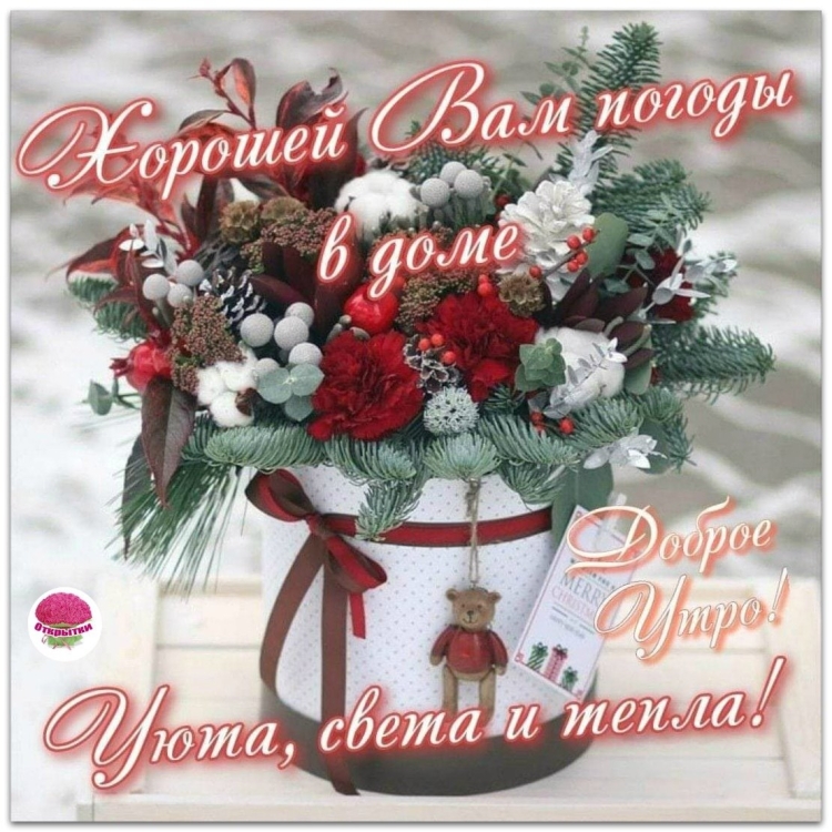 Букет здоровья зимнее утро