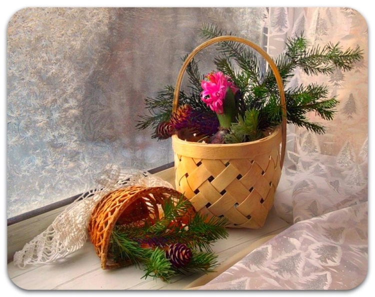Корзинки с еловыми ветками