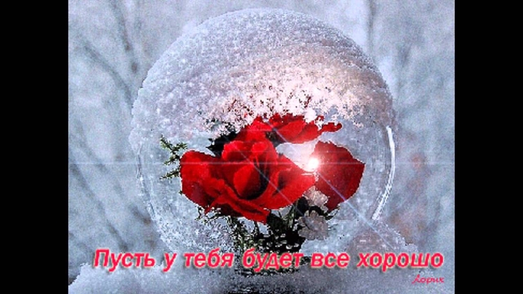 Зимние розы с пожеланием