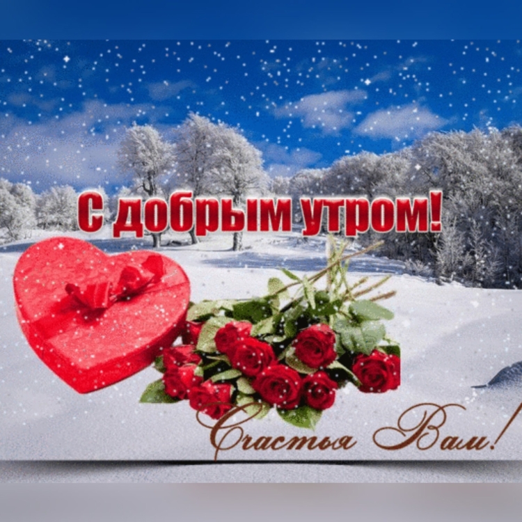 Зимние розы с пожеланием