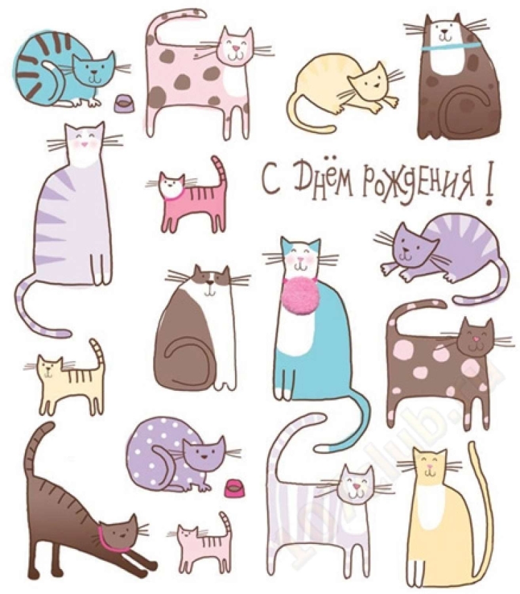 Стильные открытки с кошками