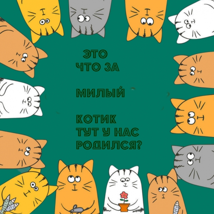 С днем рождения Минимализм котик