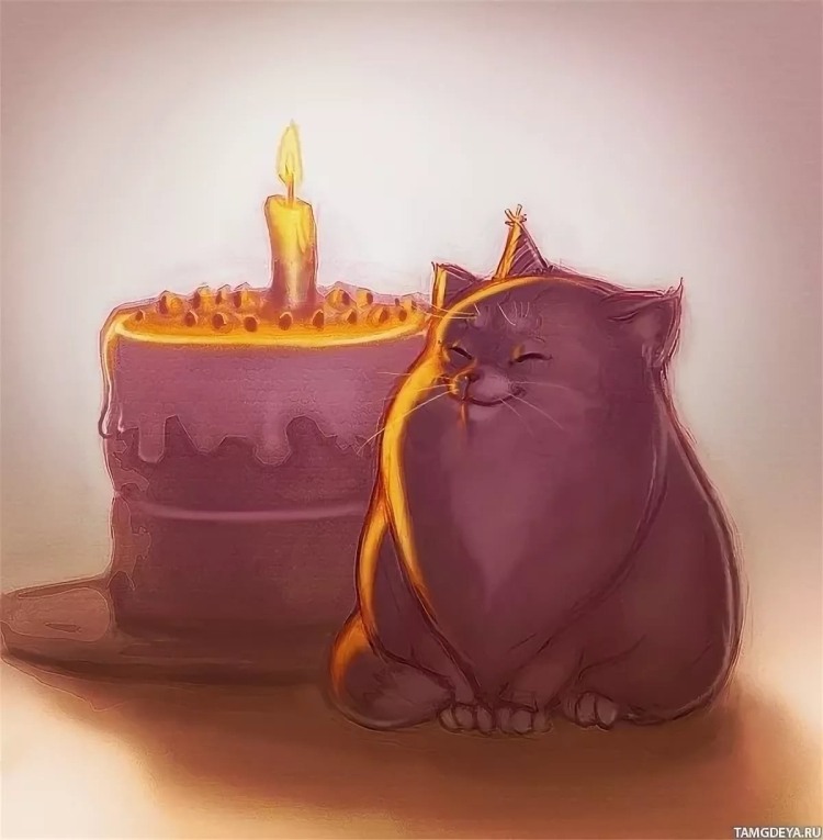 С днём рождения с котиками